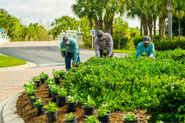 Cultivar Group - Commercial Landscaping
