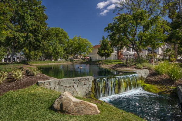 Lake Forest