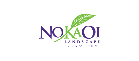 NoKaOi