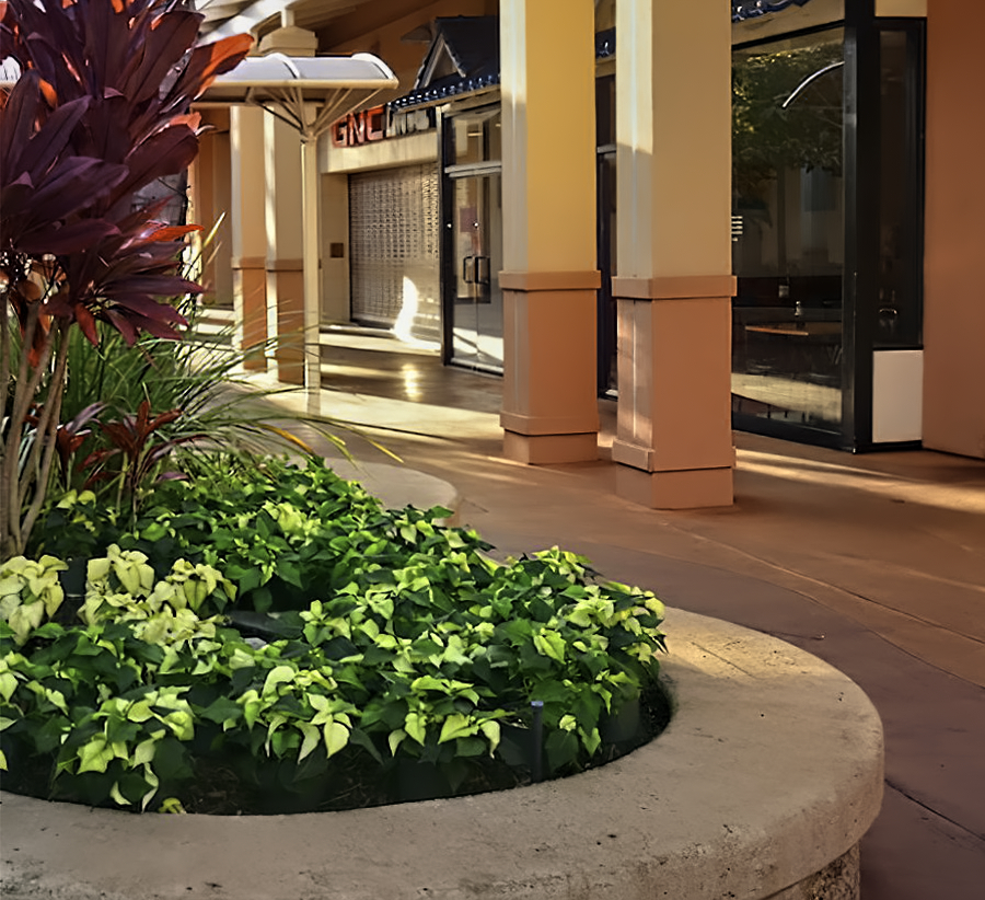 Kukui Grove - NoKaOi, a Cultivar Group Company - Commercial Landscaping