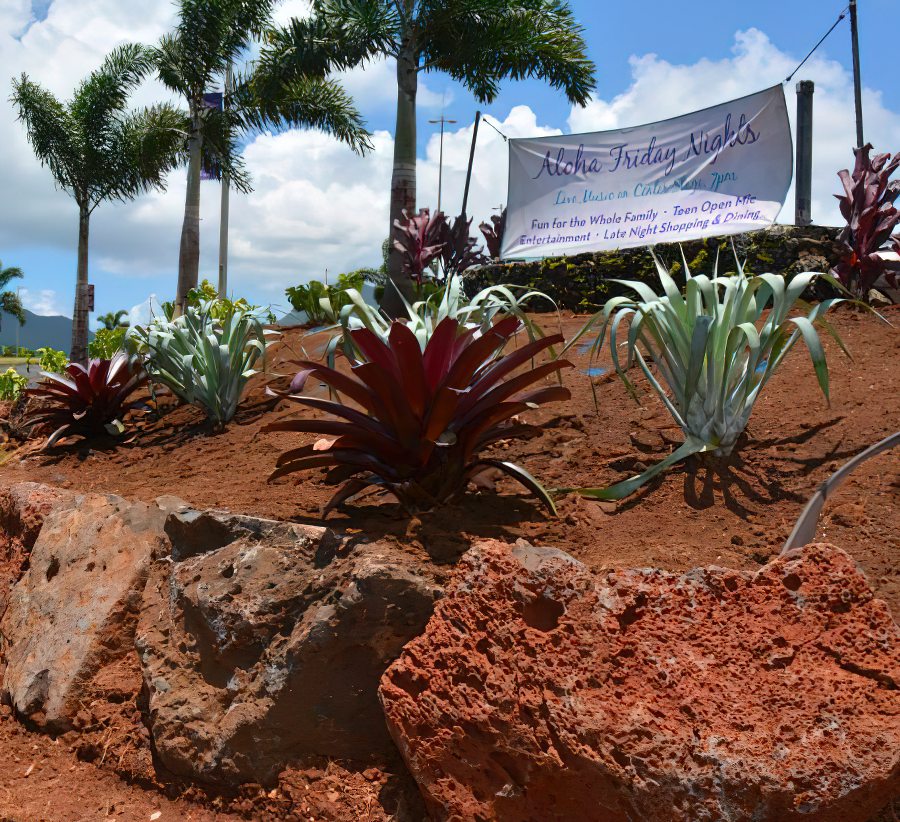 Kukui Grove - NoKaOi, a Cultivar Group Company - Commercial Landscaping
