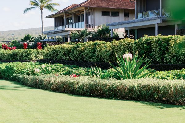 Beach_Cottages_Heman_Cultivar Group_Companies