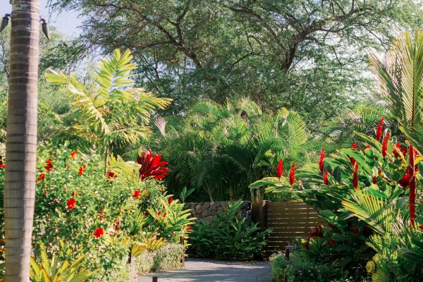 Ocean_Villas_Maluaka_HeMan_Cultivar Group_companies