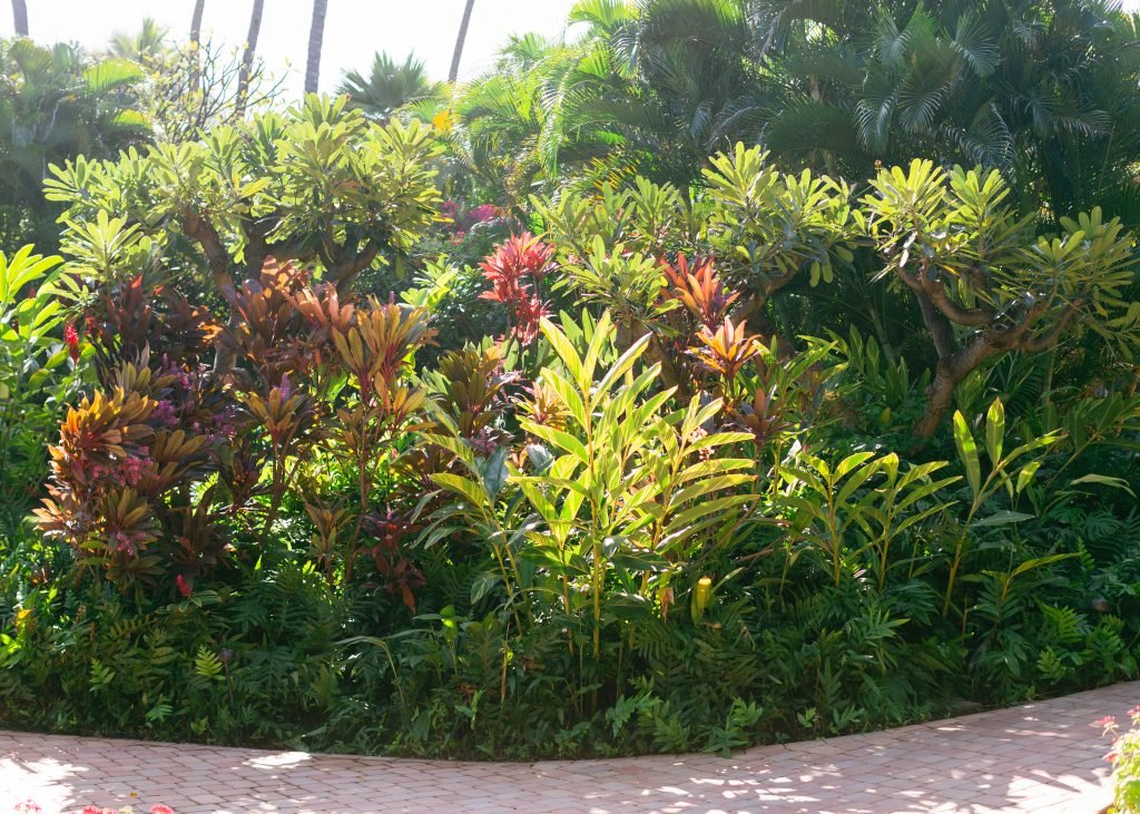 Makena_surf_heman_sperber_companies