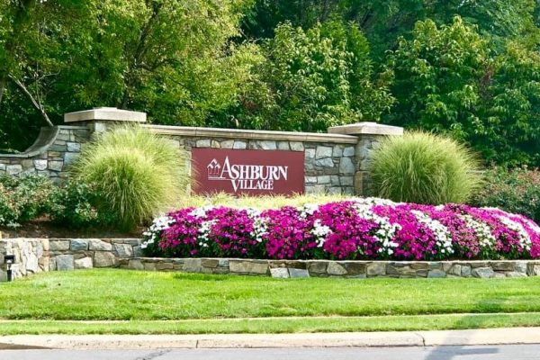 Ashburn_Village_Community_Cultivar Group_Companies