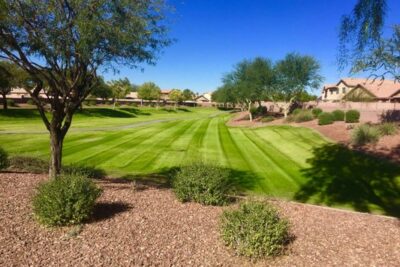 ProQual Landscaping - A Cultivar Group Company