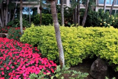 Why Property Managers Need A Certified Water Expert - Cultivar Group