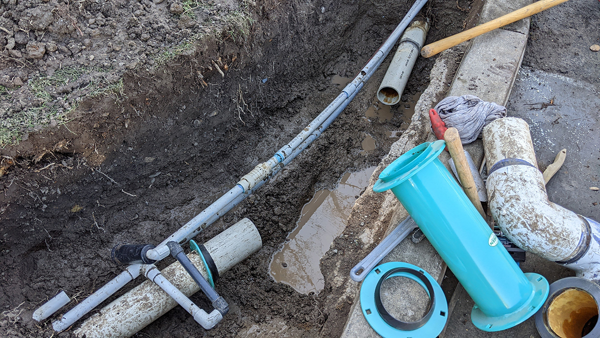 Irrigation Service - Cultivar Group