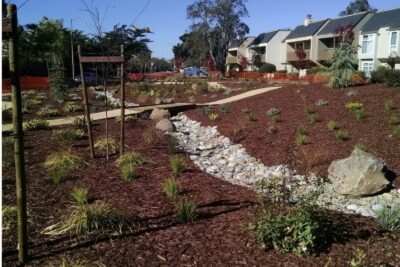 Water Restrictions Are Changing the Game—How Turf Conversions Keep Your Properties Compliant - Cultivar Group